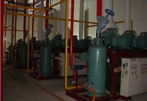 合肥豐樂種業5000噸大型冷庫安裝